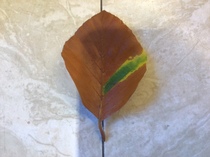 User post image