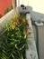User post image