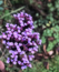 User post image