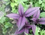 User post image