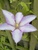 User post image