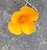 User post image
