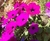 User post image