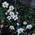 User post image