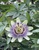User post image