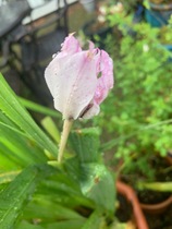 User post image