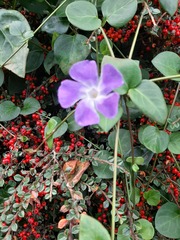 User post image