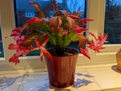 User post image