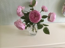 User post image