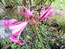 User post image