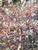 User post image