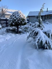 User post image