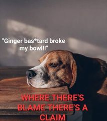User post image