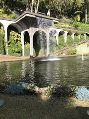 User post image
