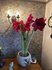 User post image