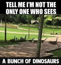 User post image