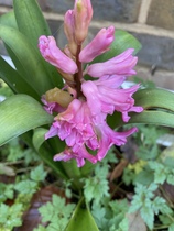 User post image