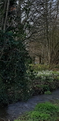 User post image