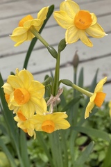 User post image