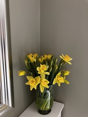 User post image