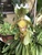 User post image