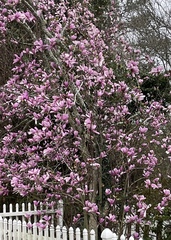 User post image