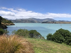 User post image