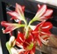 User post image