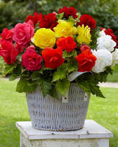 User post image