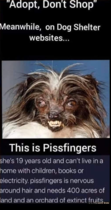 User post image