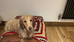 User post image