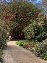 User post image