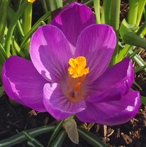 User post image