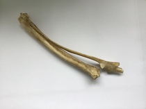 User post image
