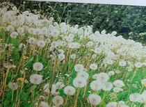 User post image
