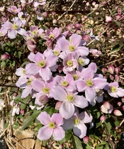 User post image