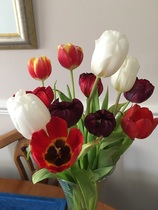 User post image
