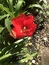User post image