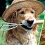 User post image