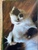 User post image