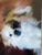 User post image
