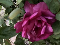 User post image