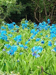 User post image