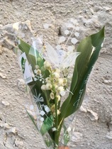 User post image