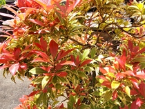 User post image