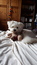 User post image