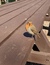 User post image