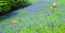 User post image