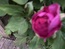 User post image