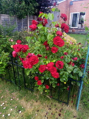 User post image